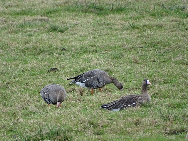 利用这一点 利用这一点