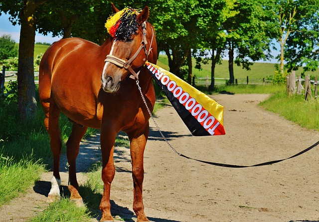 球员们在赛 球员们在赛